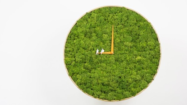 Relax Your Eyes by Looking at This Moss-filled Clock ? Moss Clock